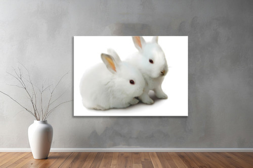 Hayvanlar ( Animal's) Kanvas Yatay Tablo335
