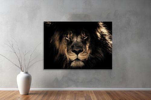 Hayvanlar ( Animal's) Kanvas Yatay Tablo157