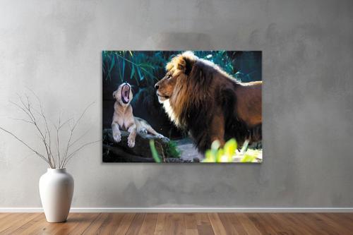 Hayvanlar ( Animal's) Kanvas Yatay Tablo391 