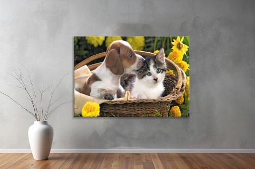 Hayvanlar ( Animal's) Kanvas Yatay Tablo337