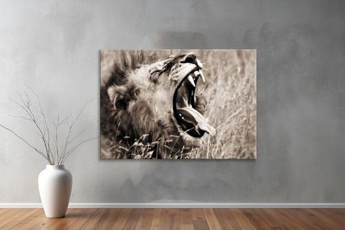 Hayvanlar ( Animal's) Kanvas Yatay Tablo393 