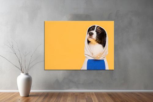 Hayvanlar ( Animal's) Kanvas Yatay Tablo540