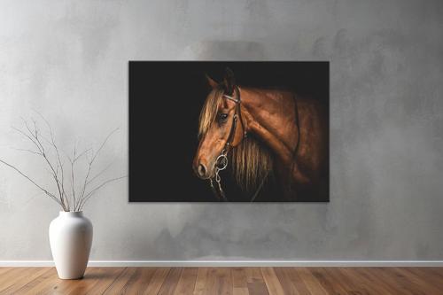 Hayvanlar ( Animal's) Kanvas Yatay Tablo552 