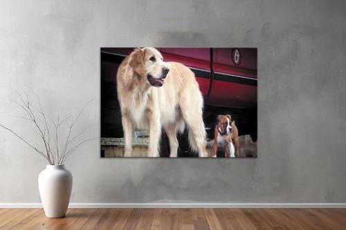 Hayvanlar ( Animal's) Kanvas Yatay Tablo409