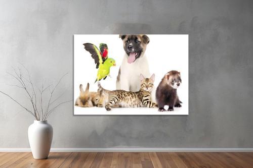 Hayvanlar ( Animal's) Kanvas Yatay Tablo414 