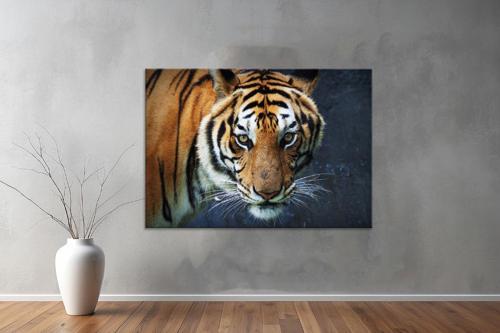 Hayvanlar ( Animal's) Kanvas Yatay Tablo569 