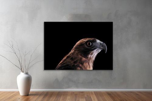 Hayvanlar ( Animal's) Kanvas Yatay Tablo42