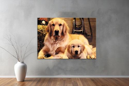Hayvanlar ( Animal's) Kanvas Yatay Tablo426 