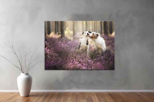 Hayvanlar ( Animal's) Kanvas Yatay Tablo427 