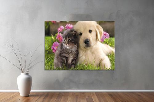 Hayvanlar ( Animal's) Kanvas Yatay Tablo429