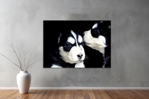 Hayvanlar ( Animal's) Kanvas Yatay Tablo430 