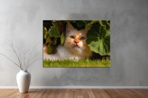 Hayvanlar ( Animal's) Kanvas Yatay Tablo585 