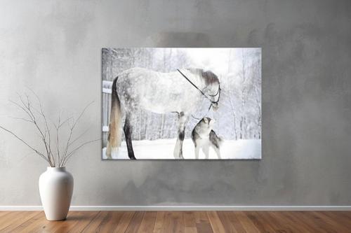 Hayvanlar ( Animal's) Kanvas Yatay Tablo437 