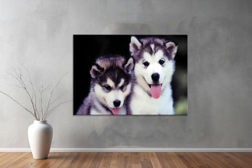 Hayvanlar ( Animal's) Kanvas Yatay Tablo438 