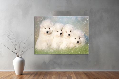Hayvanlar ( Animal's) Kanvas Yatay Tablo448 
