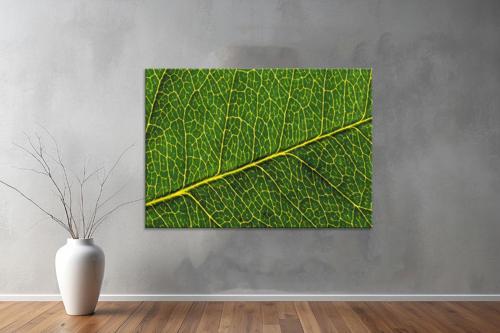 Landscape ( Manzara ) Kanvas YatayTablo 167