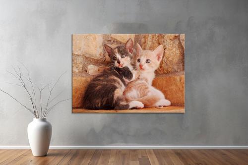 Hayvanlar ( Animal's) Kanvas Yatay Tablo609 