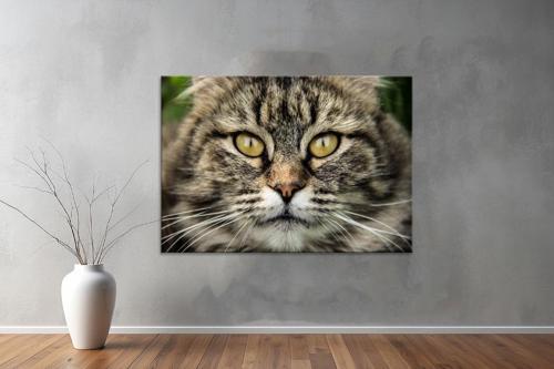 Hayvanlar ( Animal's) Kanvas Yatay Tablo614 