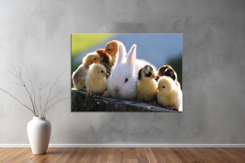 Hayvanlar ( Animal's) Kanvas Yatay Tablo462 