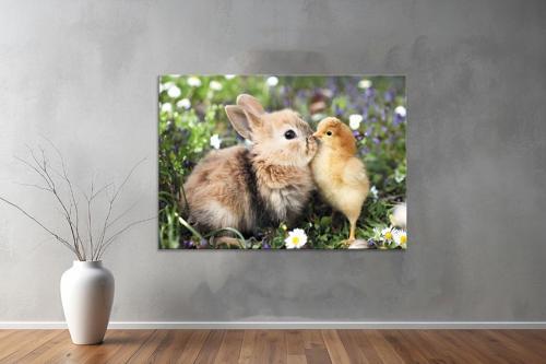 Hayvanlar ( Animal's) Kanvas Yatay Tablo465 