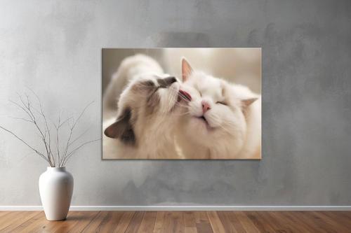 Hayvanlar ( Animal's) Kanvas Yatay Tablo466 