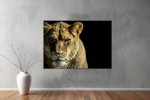 Hayvanlar ( Animal's) Kanvas Yatay Tablo632 