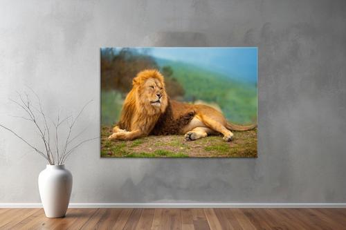 Hayvanlar ( Animal's) Kanvas Yatay Tablo638 