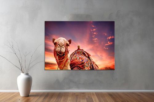 Hayvanlar ( Animal's) Kanvas Yatay Tablo648 