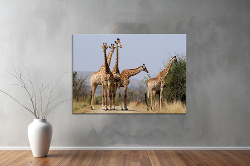 Hayvanlar ( Animal's) Kanvas Yatay Tablo653