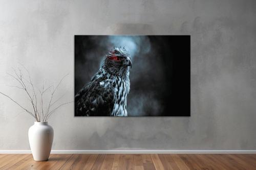 Hayvanlar ( Animal's) Kanvas Yatay Tablo493 