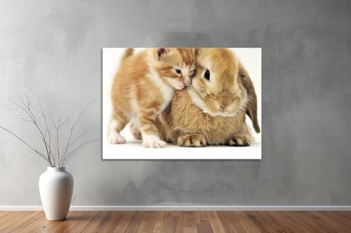 Hayvanlar ( Animal's) Kanvas Yatay Tablo659 