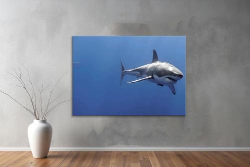 Hayvanlar ( Animal's) Kanvas Yatay Tablo77 