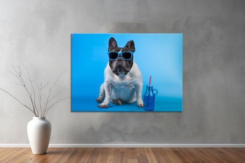 Hayvanlar ( Animal's) Kanvas Yatay Tablo512