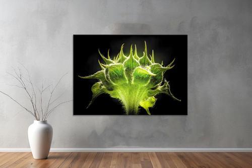 Landscape ( Manzara ) Kanvas YatayTablo 51