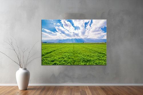 Landscape ( Manzara ) Kanvas YatayTablo  542 