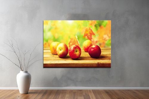 Meyeveler ( Friuts) Kanvas Yatay Tablo 63 