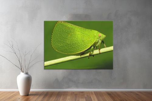 Landscape ( Manzara ) Kanvas YatayTablo 96