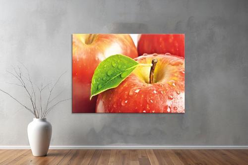 Meyeveler ( Friuts) Kanvas Yatay Tablo 01 