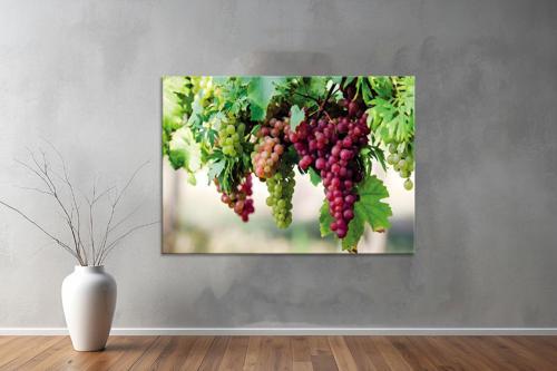 Meyeveler ( Friuts) Kanvas Yatay Tablo 04