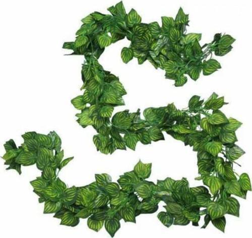 Yapay Sarmaşık 1 Paket Toplam 28 Metre