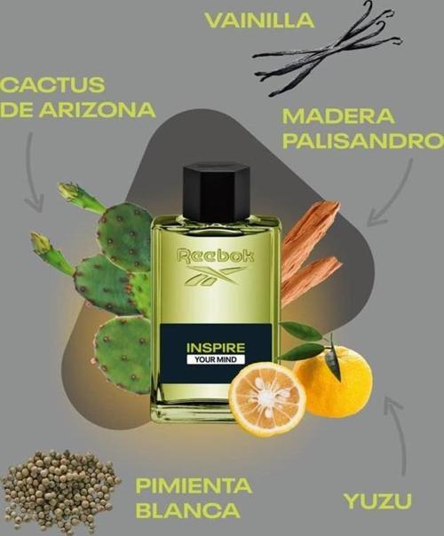 Inspire Your Mind EDT 100 ml Erkek Parfüm