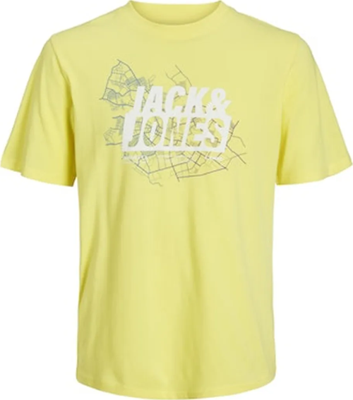 Erkek T-Shirt 12252376