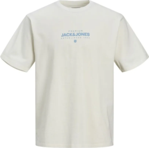 Erkek T-Shirt 12251105