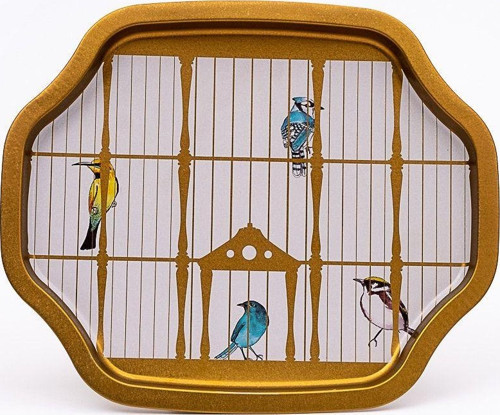 Ee166-T7 Bird Cage Desenli Özel Şekil Tepsi 28X33 Cm