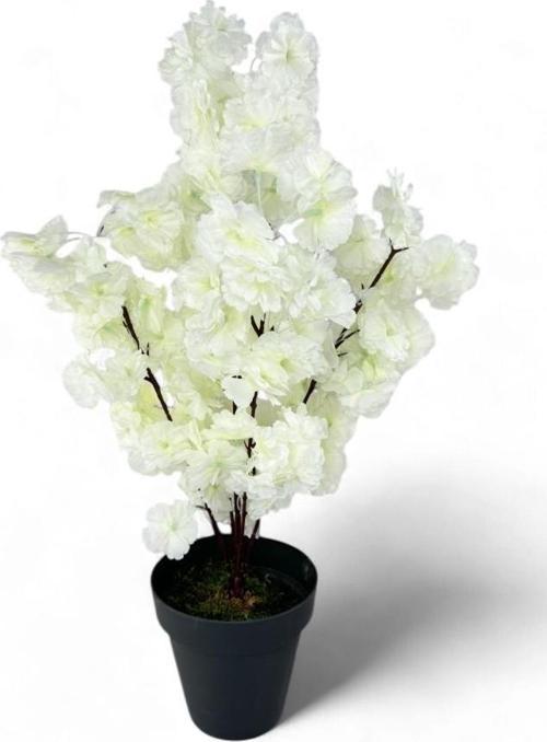 Yapay Ağaç Bahardalı Ağacı Beyaz Japon Kiraz Çiçeği Sakura Çiçeği 70 cm Siyah Plastik Saksılı