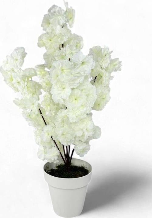 Yapay Ağaç Bahardalı Ağacı Beyaz Japon Kiraz Çiçeği Sakura Çiçeği 80 cm Beyaz Plastik Saksılı