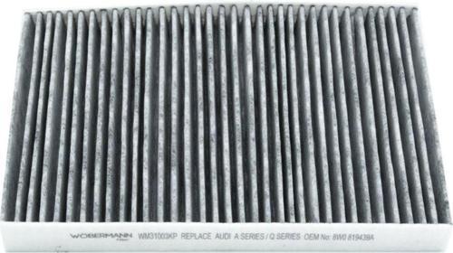 Audi A8 D5 Tfsi E Quattro 2019- Karbonlu Polen Filtresi