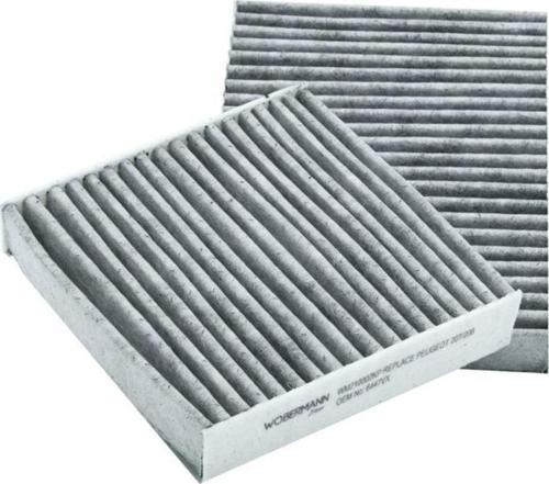 Citroën Ds3 1.2 Thp 2009-2015 Karbonlu Polen Filtresi