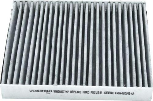 Ford C-Max Ii 1.5 Ecoboost 2010-2019 Karbonlu Polen Filtresi