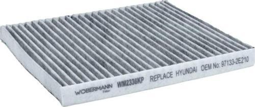 Hyundai Genesis Coupe 3.8 V6 2008-2014 Karbonlu Polen Filtresi